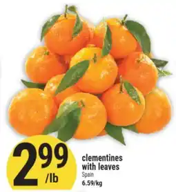 Marché Adonis clementines with leaves offer