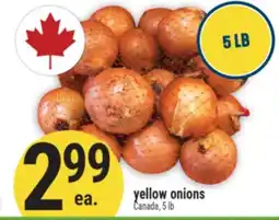 Marché Adonis Yellow Onions offer