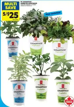 Real Canadian Superstore PC GIGANTICO HERBS OR VEGETABLES, 4.33 INCH offer