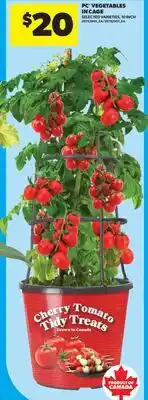 Real Canadian Superstore PC VEGETABLES IN CAGE, 10 INCH offer
