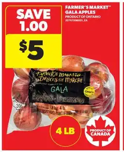 Real Canadian Superstore FARMER'S MARKET GALA APPLES, 4 LB offer
