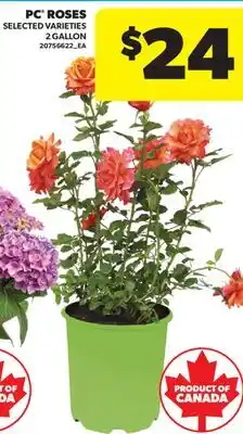 Real Canadian Superstore PC ROSES, 2 GALLON offer
