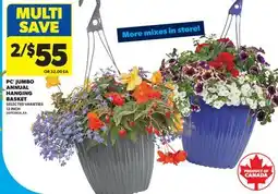 Real Canadian Superstore PC JUMBO ANNUAL HANGING BASKET, 12 INCH offer