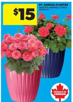 Real Canadian Superstore PC ANNUAL PLANTER offer