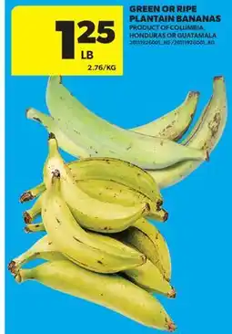 Real Canadian Superstore GREEN OR RIPE PLANTAIN BANANAS offer