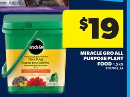 Real Canadian Superstore MIRACLE GRO ALL PURPOSE PLANT FOOD offer
