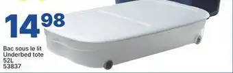 Rossy Underbed tote offer