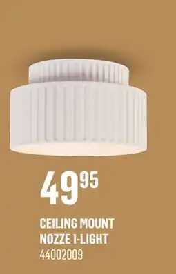Canac Ceiling Mount offer
