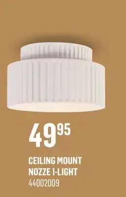 Canac Ceiling Mount offer