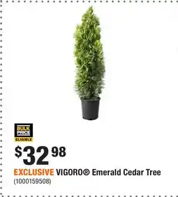 Home Depot EXCLUSIVE VIGORO Emerald Cedar Tree offer