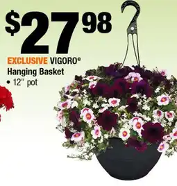 Home Depot Hanging basket 12 pot offer