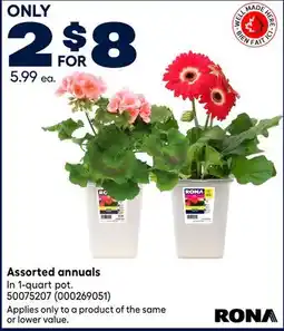 RONA RONA Assorted annuals offer