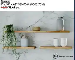 RONA 1 x 10 x 48 Envivo and Centerpointe Decorative Shelves offer
