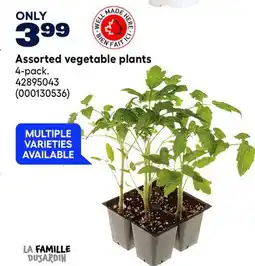 RONA Assorted vegetable plants offer