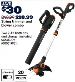RONA WORX String trimmer and blower combo offer