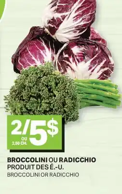 L'Intermarché BROCCOLINI OU RADICCHIO | BROCCOLINI OR RADICCHIO offer