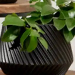 Walmart Jardinière torsadée Better Homes & Gardens 20,3 cm (8 po) offer