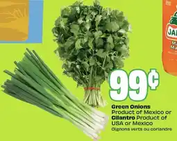 FreshCo Green Onions or cilantro offer