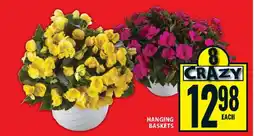 Food Basics Hanging Baskets offer