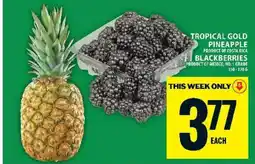 Food Basics Tropical Gold Pineapple & Blackberries offer