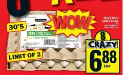 Food Basics SELECTION LARGE EGGS offer