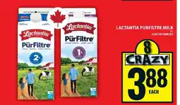 Food Basics LACTANTIA PURFILTRE MILK offer