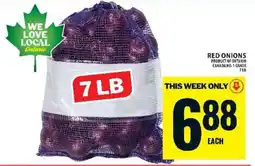 Food Basics RED ONIONS offer