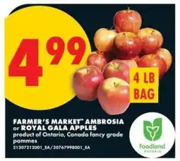 No Frills Farmer's Market Ambrosia or Royal Gala Apples offer