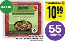 Food Basics NEW ZEALAND FRESH LEAN GROUND LAMB offer