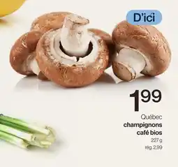 Avril Champignons café bios offer