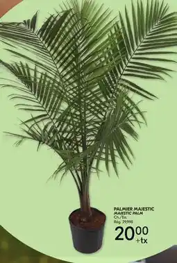 IGA MAJESTIC PALM offer