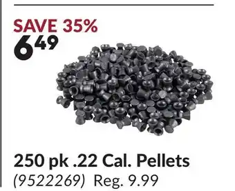 Princess Auto 250 pk. 22 Cal. Pellets offer