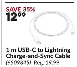 Princess Auto 1 m USB-C to Lightning Charge-and-Sync Cable offer