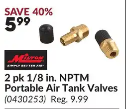 Princess Auto 2 pk 1/8 in. NPTM Portable Air Tank Valves offer