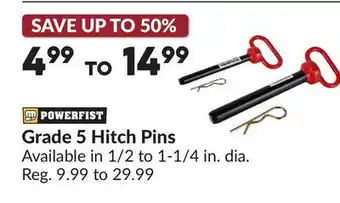 Princess Auto Grade 5 Hitch Pins offer