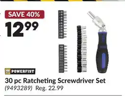 Princess Auto 30 pc Ratcheting Screwdriver Set offer