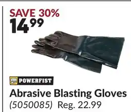 Princess Auto Abrasive Blasting Gloves offer