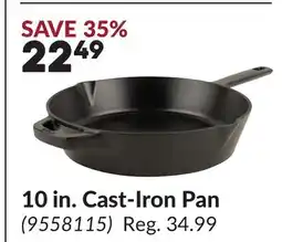 Princess Auto 10 in. Cast-Iron Pan offer