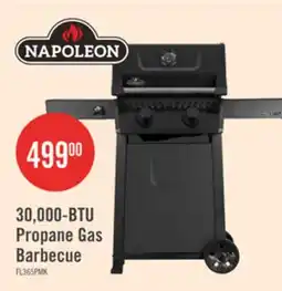 The Brick Napoleon 365 30,000-BTU 2-Burner Propane Gas Grill - FL365PMK-1 offer