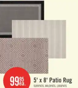 The Brick 5' x 8' Patio Rug offer