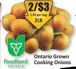 Starsky Ontario Grown Cooking Onions offer