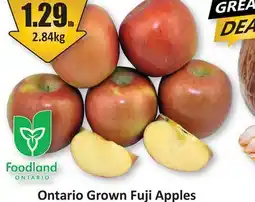 Starsky Ontario Grown Fuji Apples offer