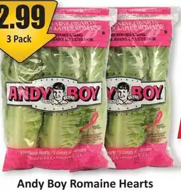Starsky Andy Boy Romaine Hearts offer