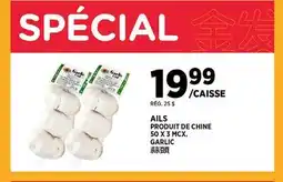 Kim Phat GARLIC offer