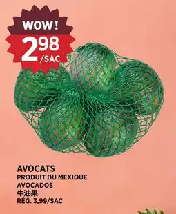 Kim Phat AVOCADOS offer