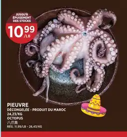 Kim Phat OCTOPUS offer