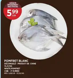 Kim Phat WHITE POMFRET offer