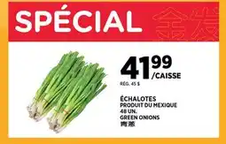 Kim Phat GREEN ONIONS offer