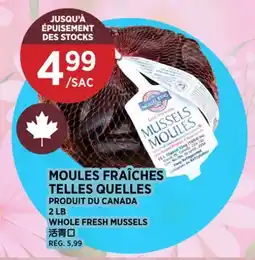 Kim Phat WHOLE FRESH MUSSELS offer