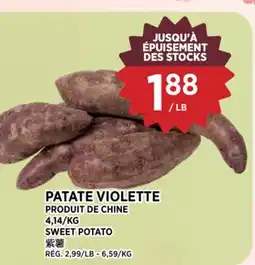 Kim Phat SWEET POTATO offer
